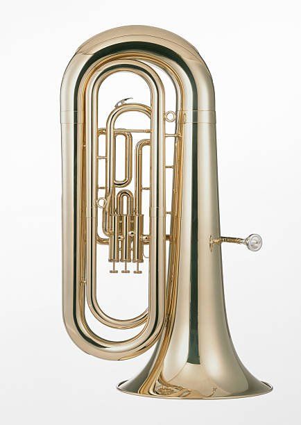 Bombardino