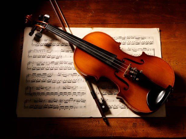 Violín