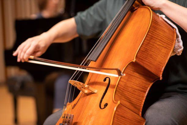 Violoncello