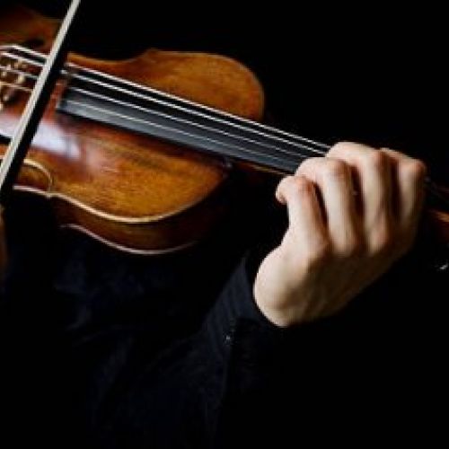 Viola