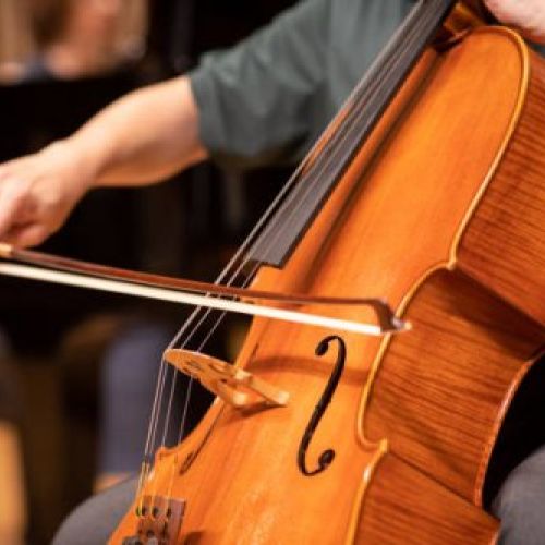Violoncello