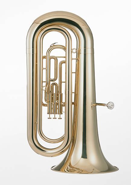 Bombardino