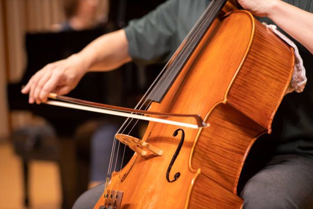 Violoncello