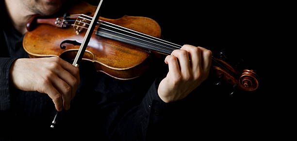 Viola